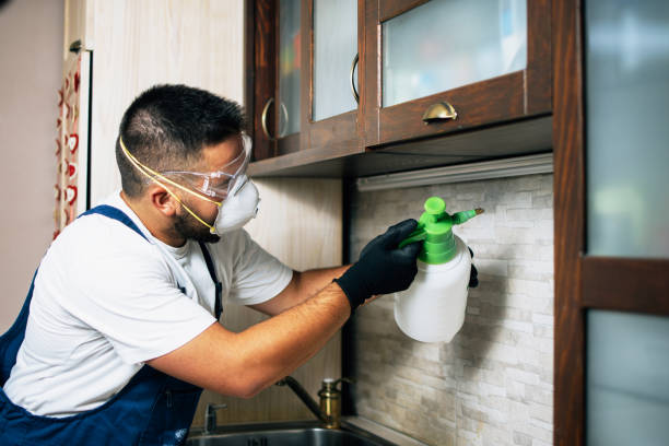 Flea Control Services in Sanatoga, PA