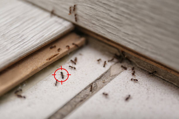 Best Cockroach Control Services  in Sanatoga, PA