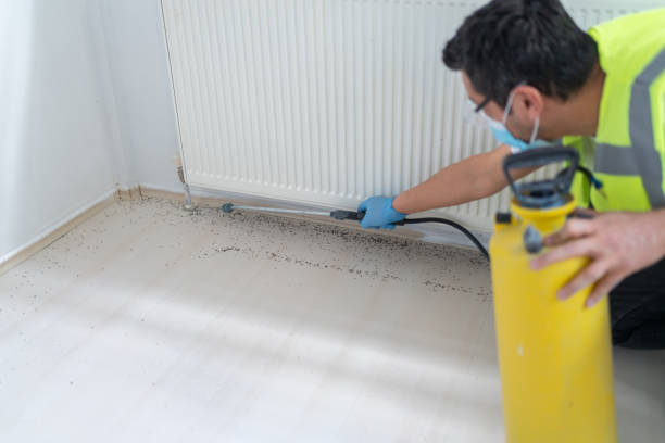 Best Pest Control for Businesses  in Sanatoga, PA